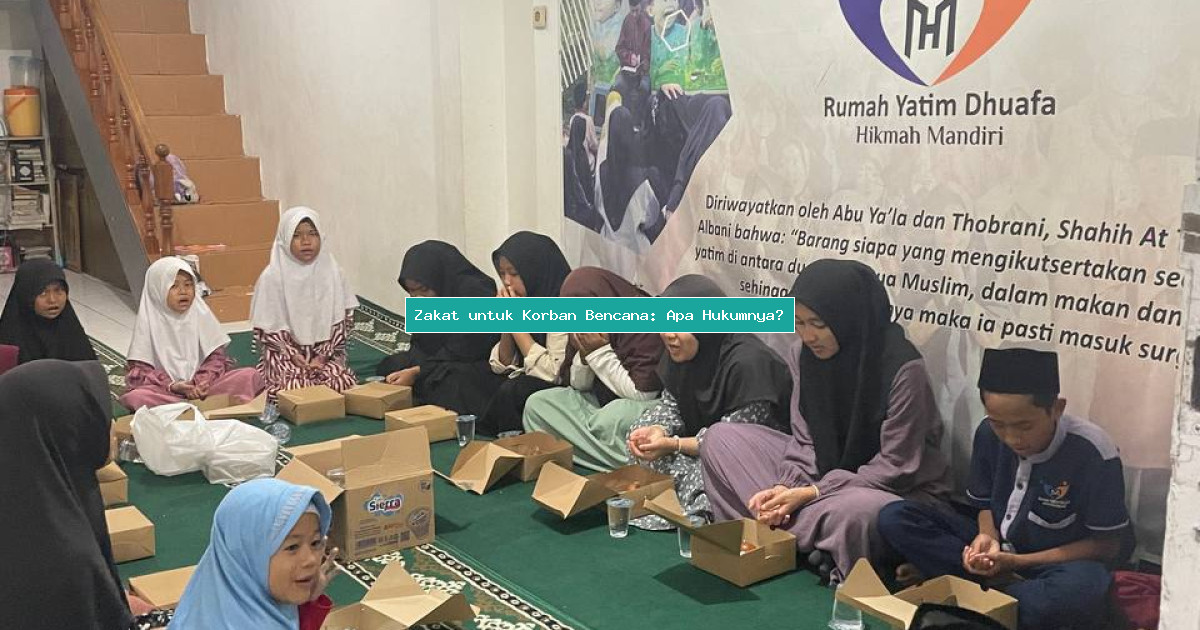 Zakat untuk Korban Bencana: Apa Hukumnya?